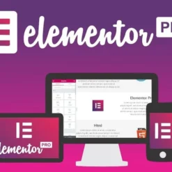 Elementor PRO (GPL)