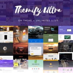 Basic Theme - Themify